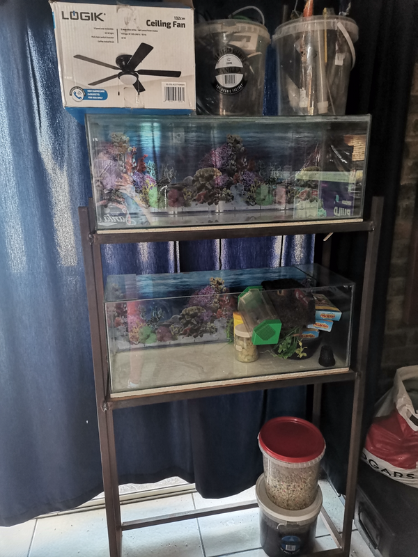 2 x fishtanks with stand self built, for sale