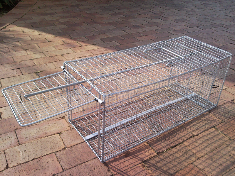 CAT TRAP MANUFACTURERS SOUTH AFRICA -JOHANNESBURS.   20 YEARS MANUFACTURING CALL US TO DISCUSS TODAY