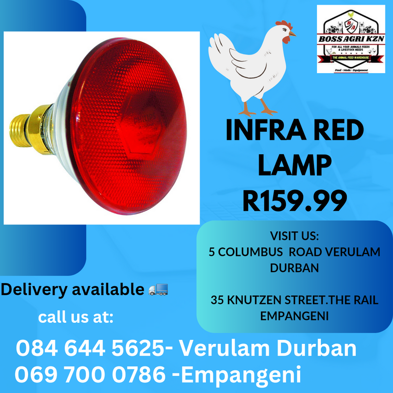 Infra red lamp