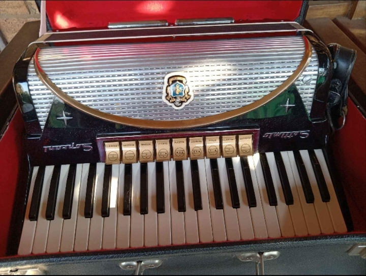 1950s Settimio Soprani Accordion 120 bass