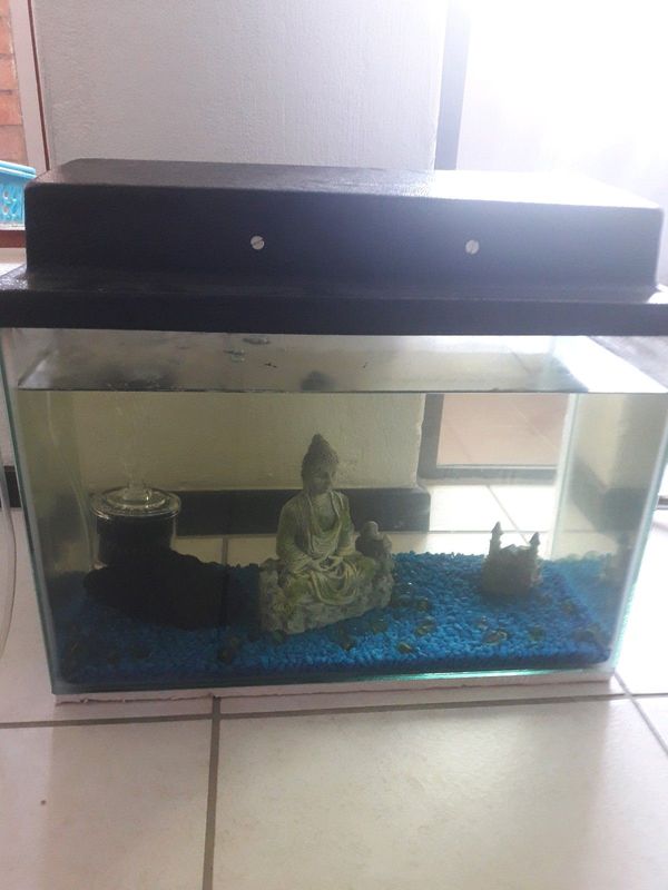 Fish tank 44 cm,  with filter &amp; decor without fish