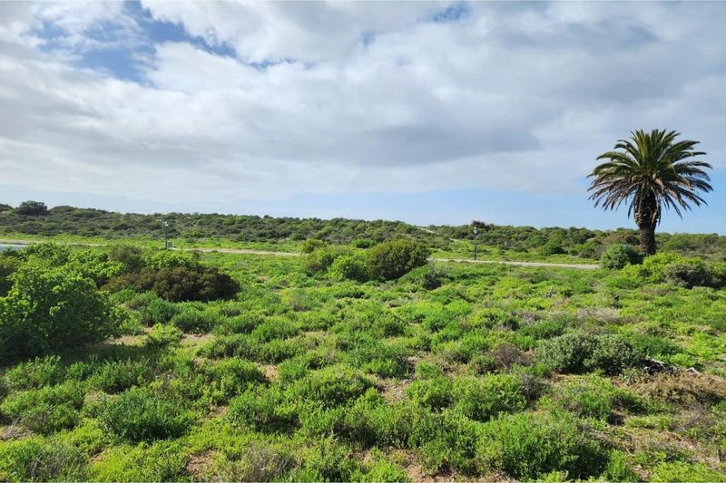 Beautiful Well Priced Vacant stand in sought after Shelley Point, St Helena Bay