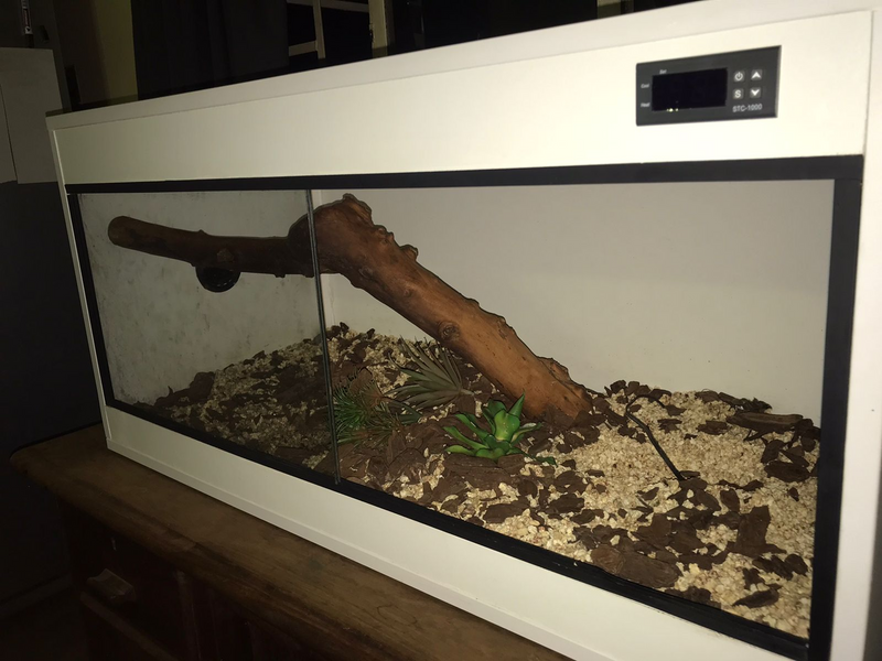 Snake enclosure with extras