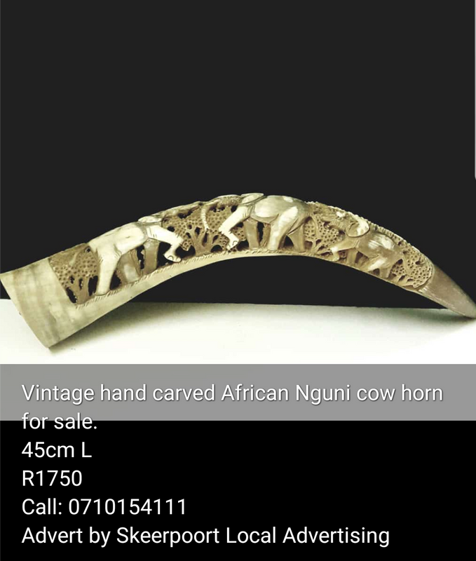 Vintage hand carved Nguni cow horn for sale