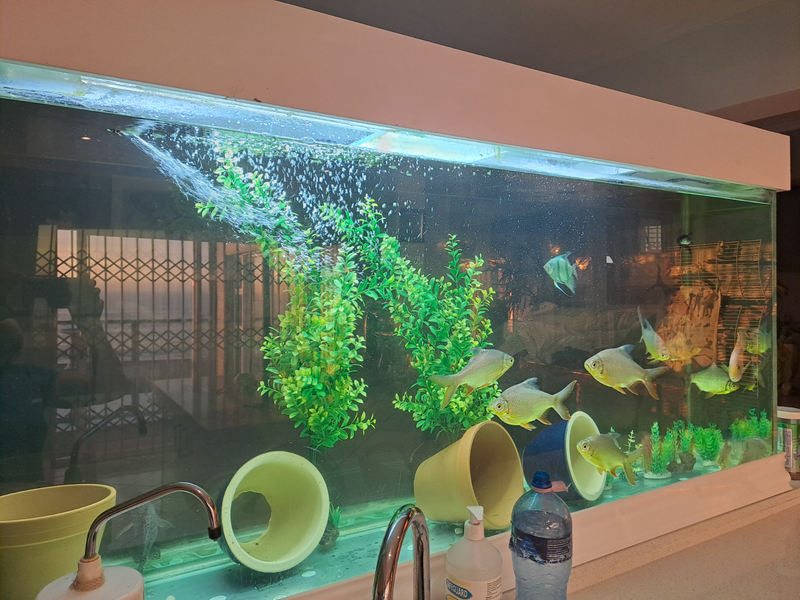Large fish tank with built-in filter system for sale