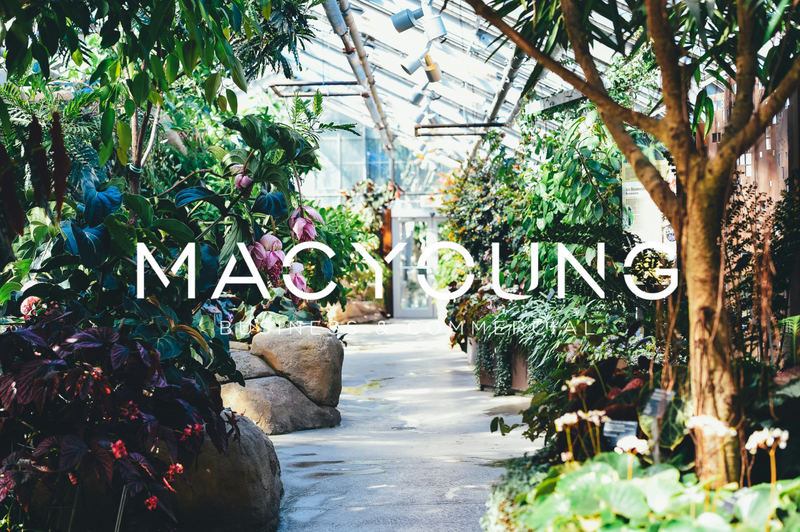 MACYOUNG: Well Run Nursery with Prominent Position at a Large Shopping Mall
