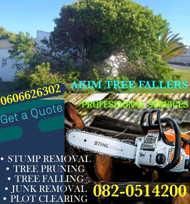 TREE FALLERS  &amp; JUNK REMOVAL
