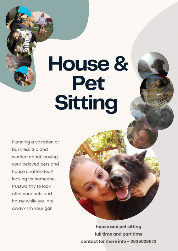 Trustworthy House and Pet Sitting Ser