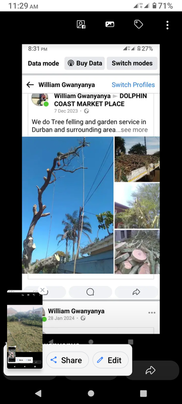 Tree felling and garden service