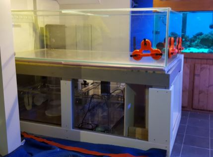 Relocations, Start-ups, Shutdowns &amp; Custom-Built Aquariums or Fish Tanks