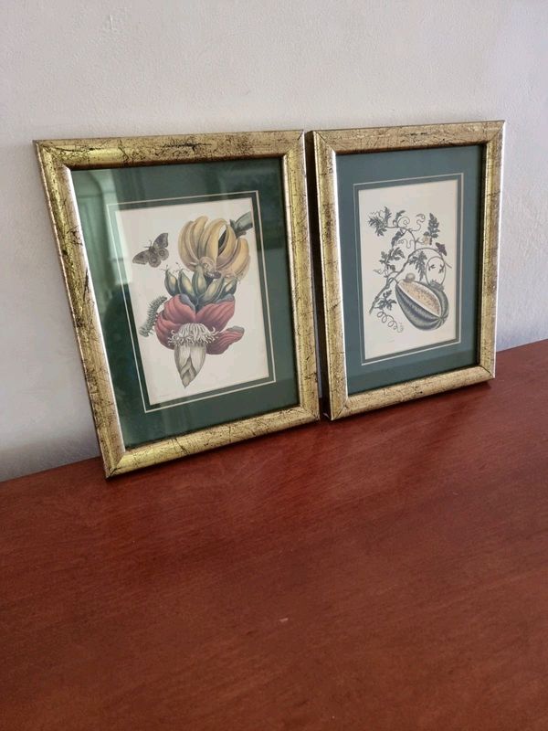 Set of 6 Beautiful Vintage Framed Botanical Prints. R650 each.