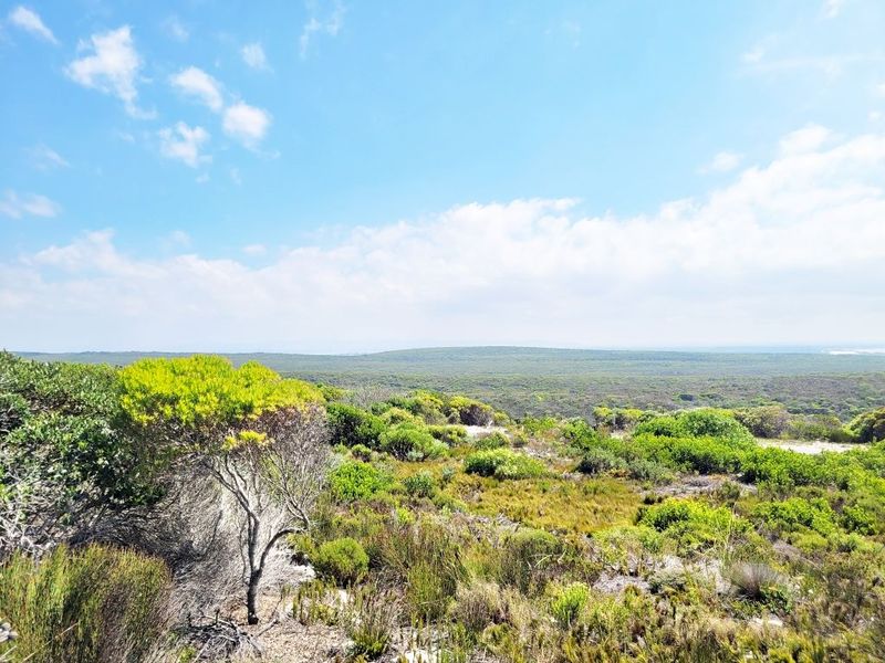 Agulhas Nature Reserve:  Vacant Plot For Sale