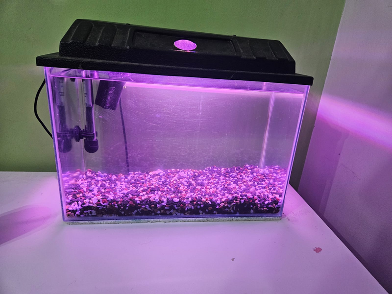 30 Litre Fish Tank with Rocks, Pump, heater and Light