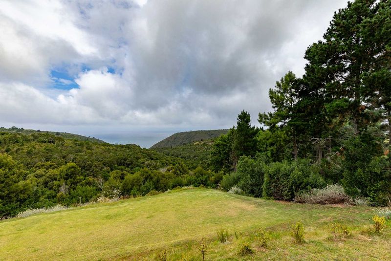 VACANT PLOT FOR SALE IN VICTORIA BAY WITH OCEAN AND FOREST VIEWS