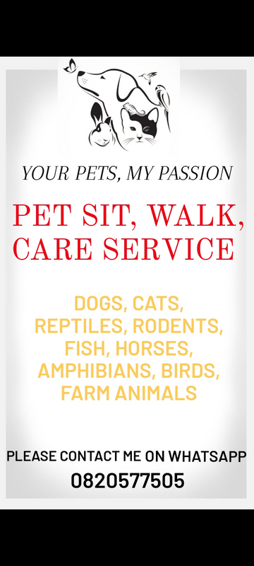 Petsit/dog walk/care giver