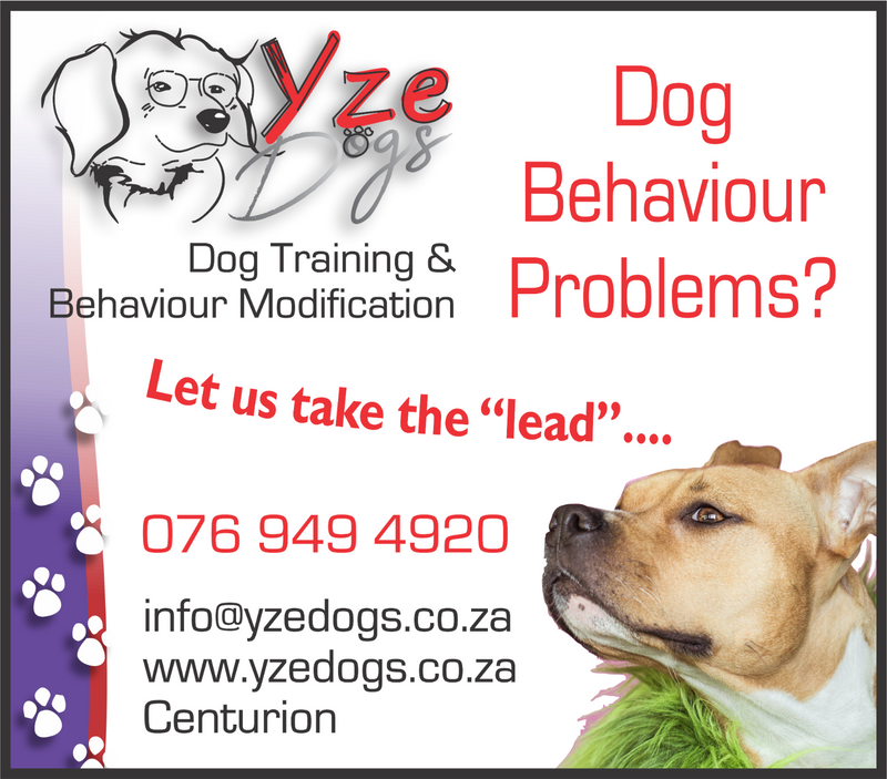 Dog Training and Behaviour Modification