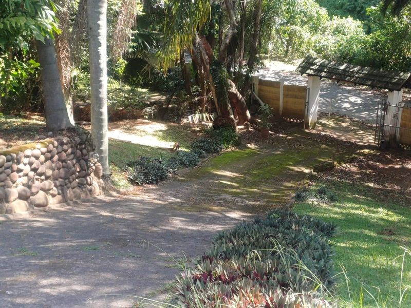 House in Illovo Glen To Rent