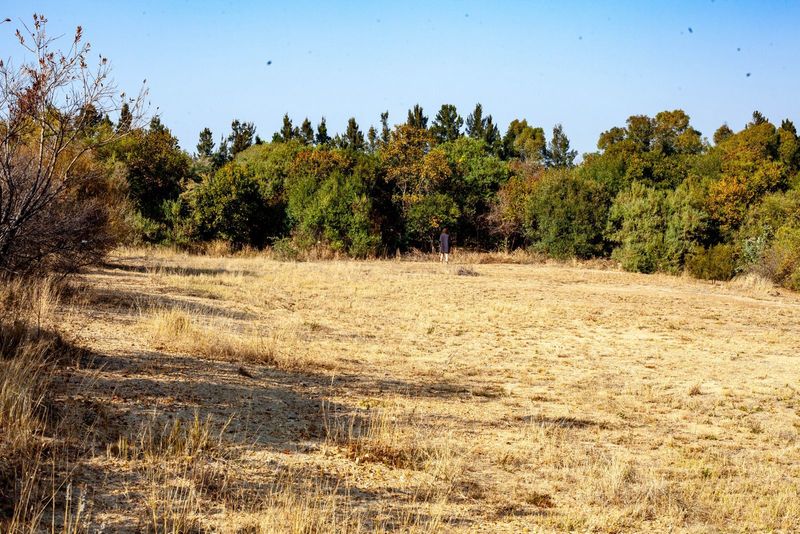 VACANT LAND FOR SALE IN STEYN CITY