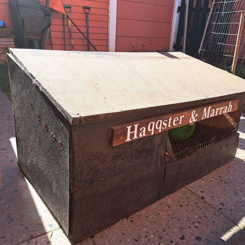 Rabbit/Guinea Pig Wooden Hutch