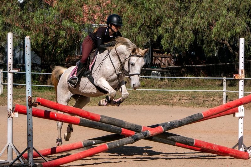 Super talented pony
