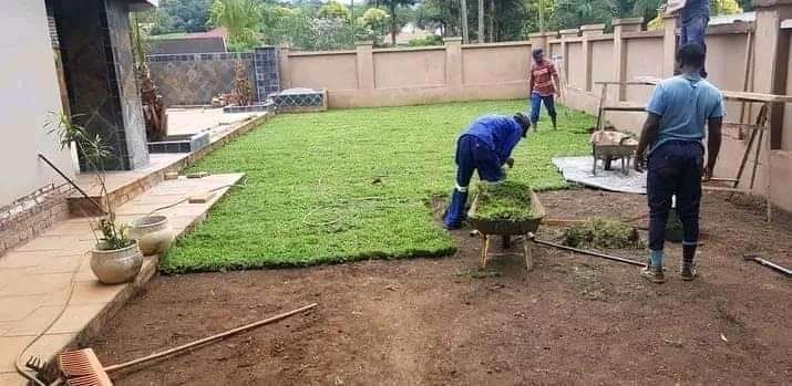 We supply and install instant lawn (GRASS) fresh straight from the farm