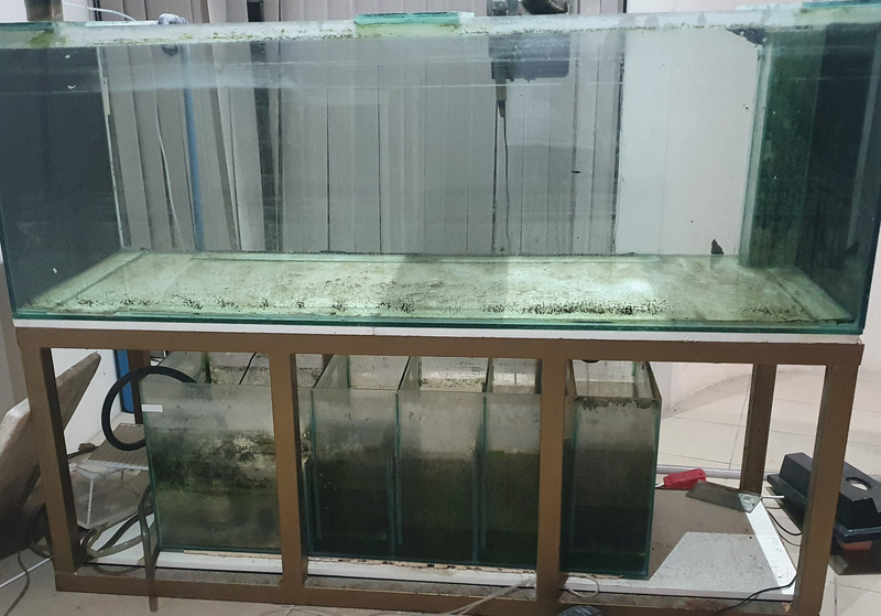 1.8m fishtank