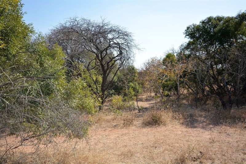 Vacant Land in MODITLO NATURE RESERVE