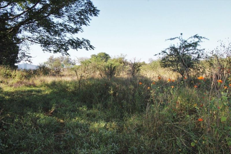 COMMERCIAL VACANT LAND FOR SALE IN MODIMOLLE !!!!!