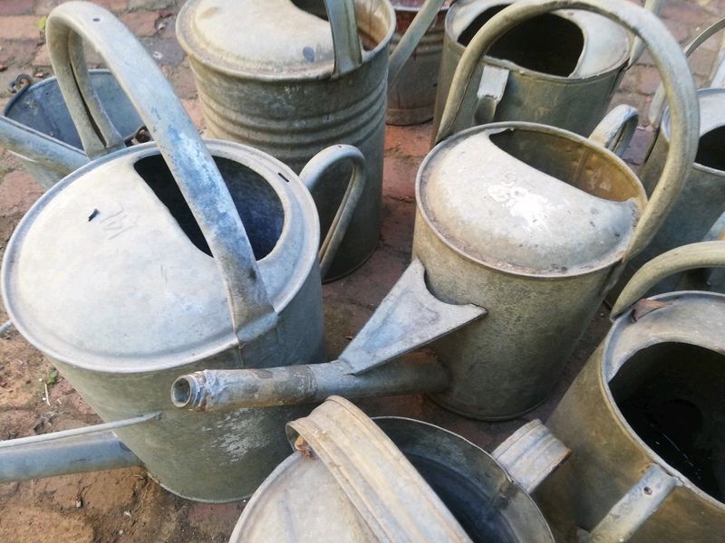 Vintage Galvanized Watering Cans