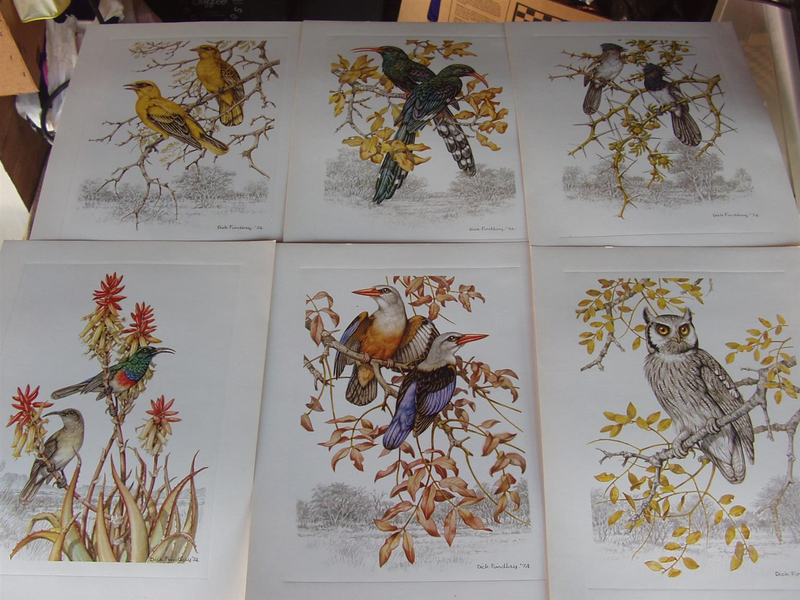South African Birds by Dick Findlay - Six Colour Plates - 1974 - in original Folder