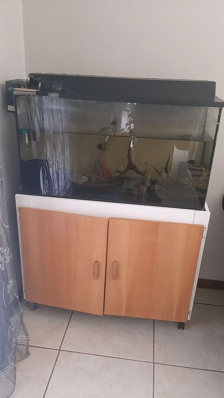 Fish Tanks 3ft and 4ft