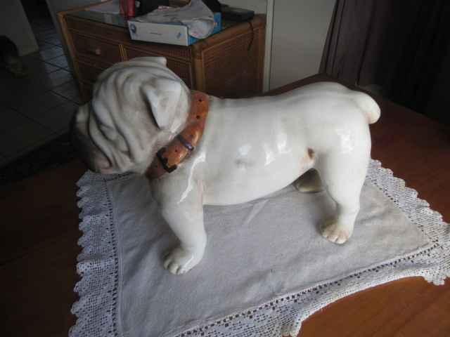 Ornamental Bulldog