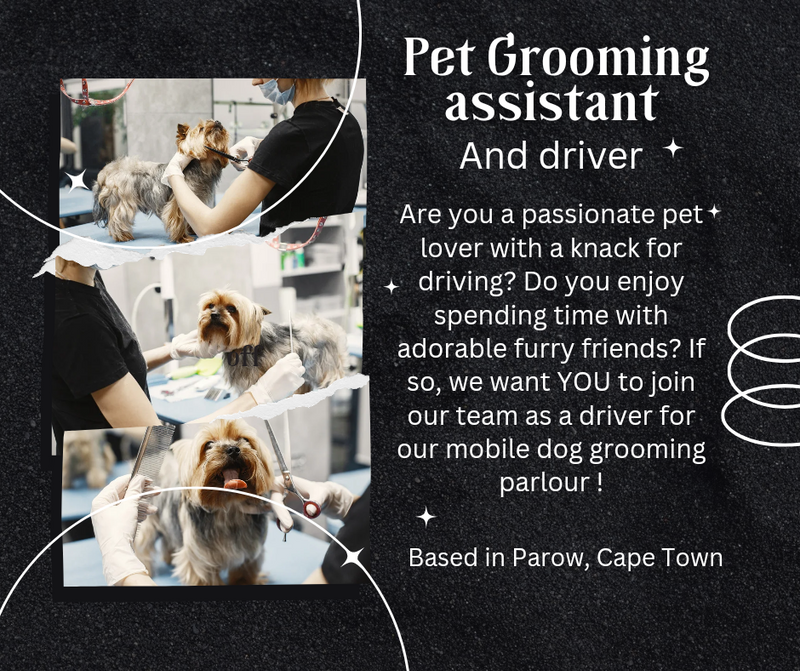Dog washing driver for mobile dog grooming parlour