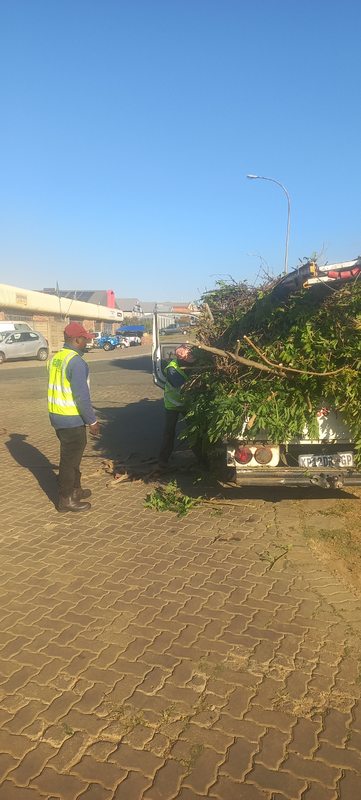 Moses TREE CUTTING AND RUBBLE REMOVAL SERVICE