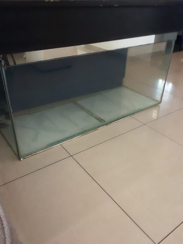 4 foot fish tank