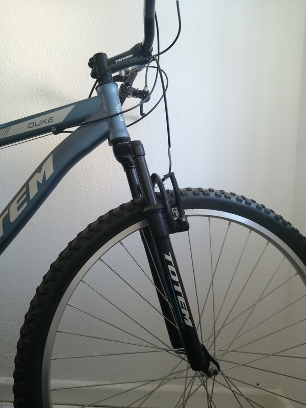 29&#34; Totem unisex mountain bike