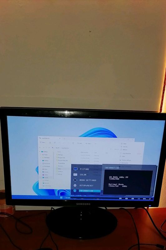 Samsung Monitor - S19D300