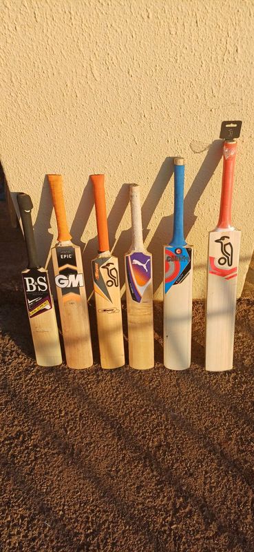 Cricket bats