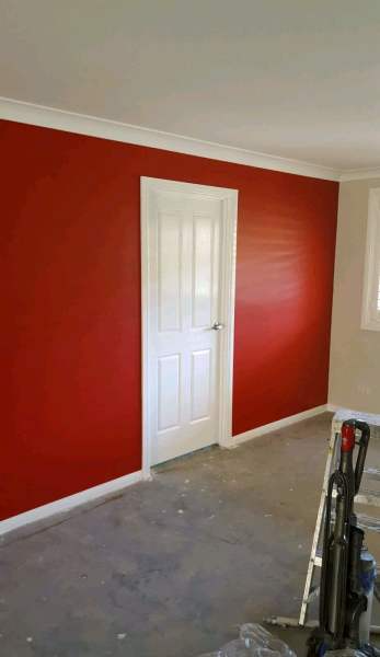 expert painter / handyman for hire