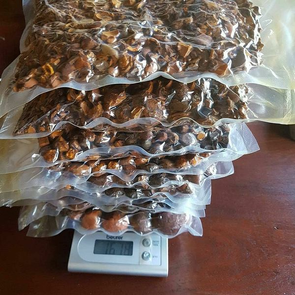 Cow gallstones for sale - ox gallstones for sale