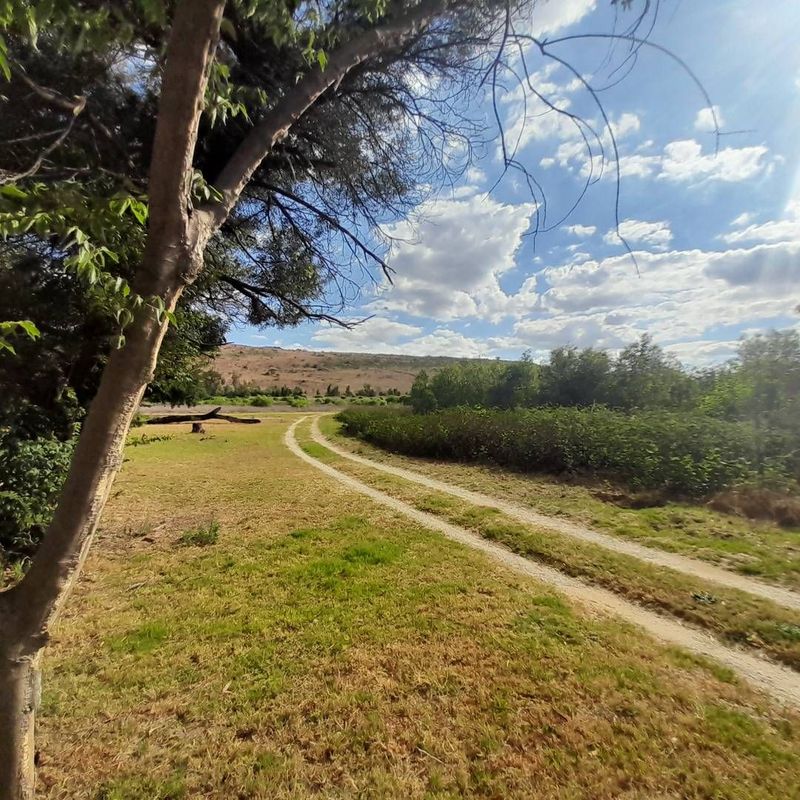 Excellent income generating smallholding close to Magaliesburg