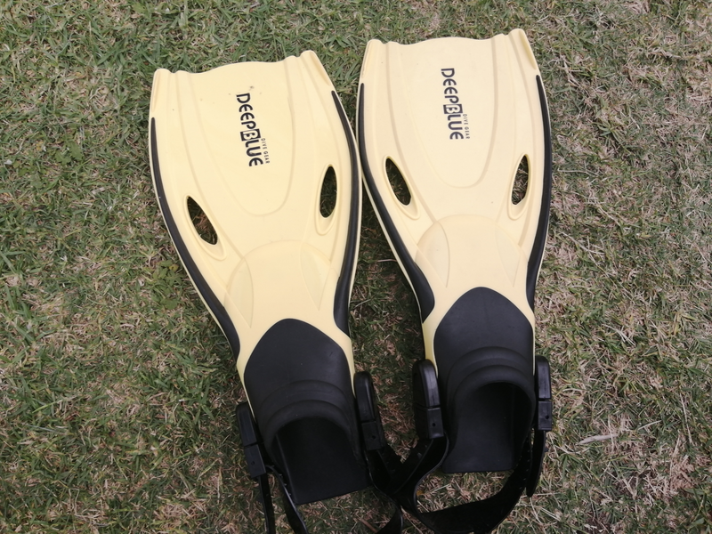 Junior Flippers R100