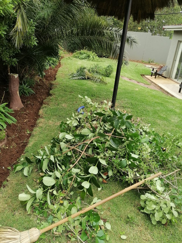 BRIGHT&#39; GARDEN SERVICES: 073 875 5515