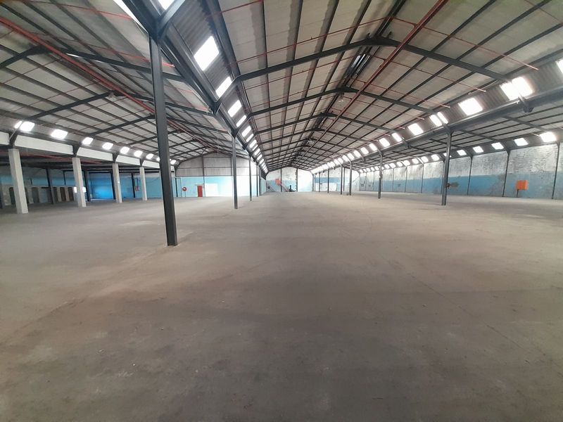 5 142m2 Industrial Factory Warehouse Unit To Let in Brackenfell &#64; R282 810.00 excluding v
