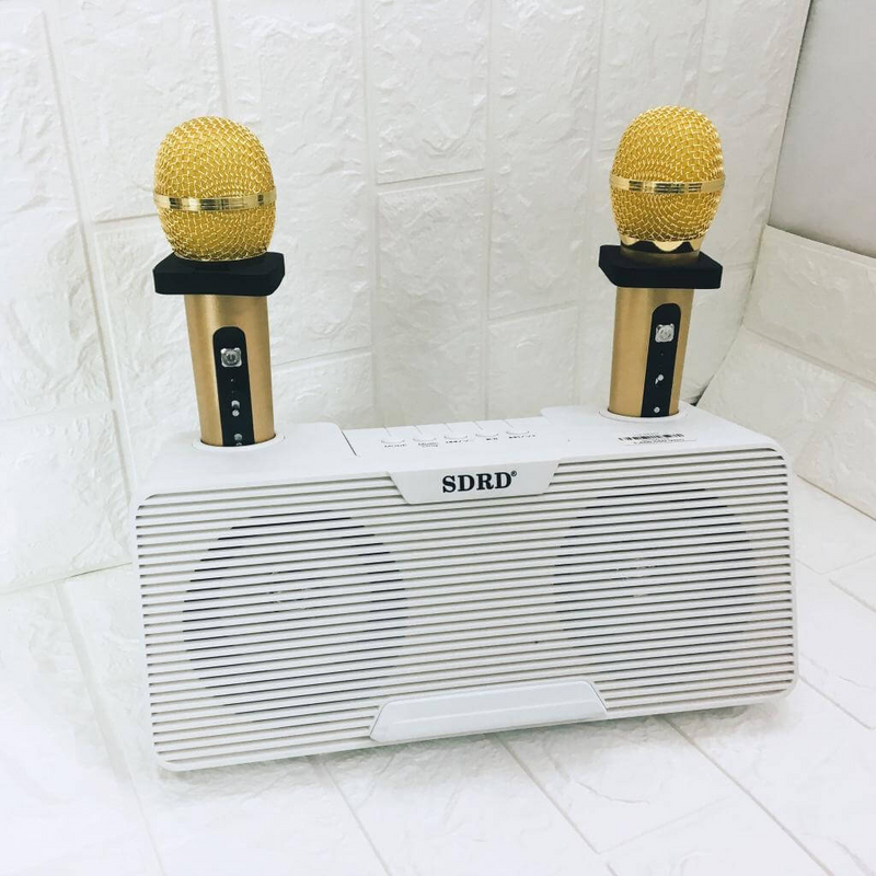 Mini Karaoke Speaker with 2 Microphones