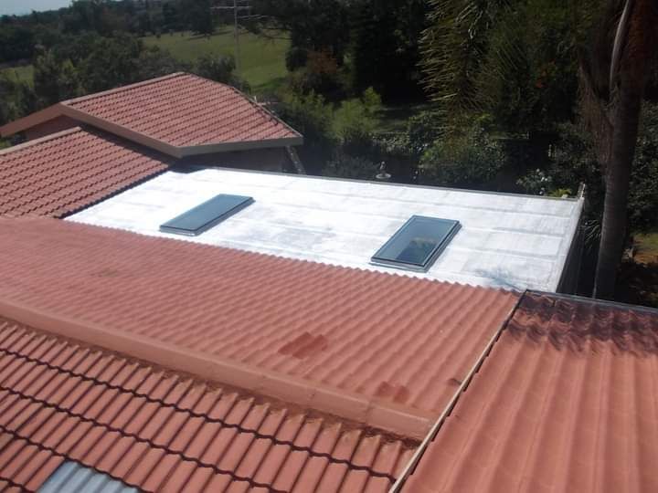 roof repairs gutters domp proofing ceiling roof painting walls painting steel gate building homes
