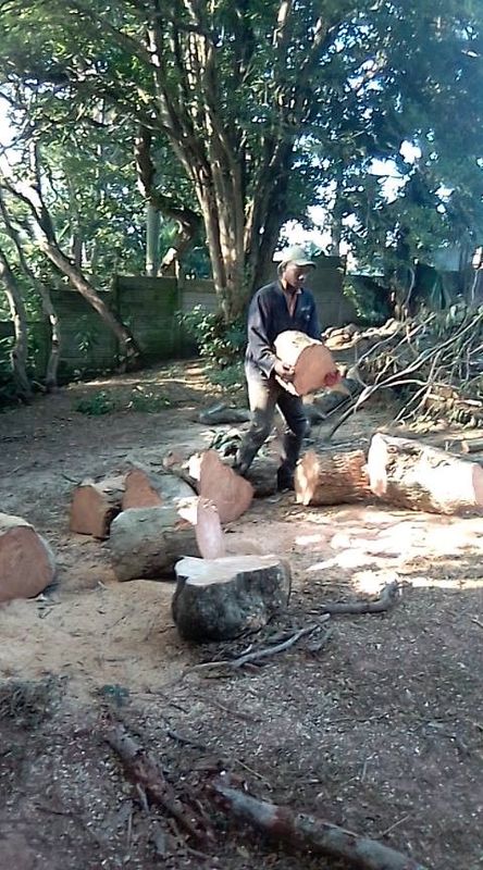Shumba garden service and tree felling