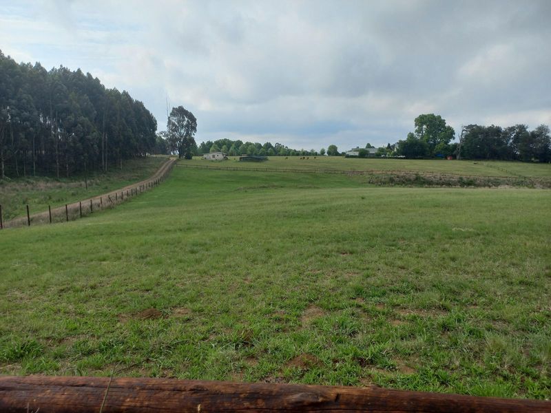 19,356m² Vacant Land For Sale in Hilton Rural