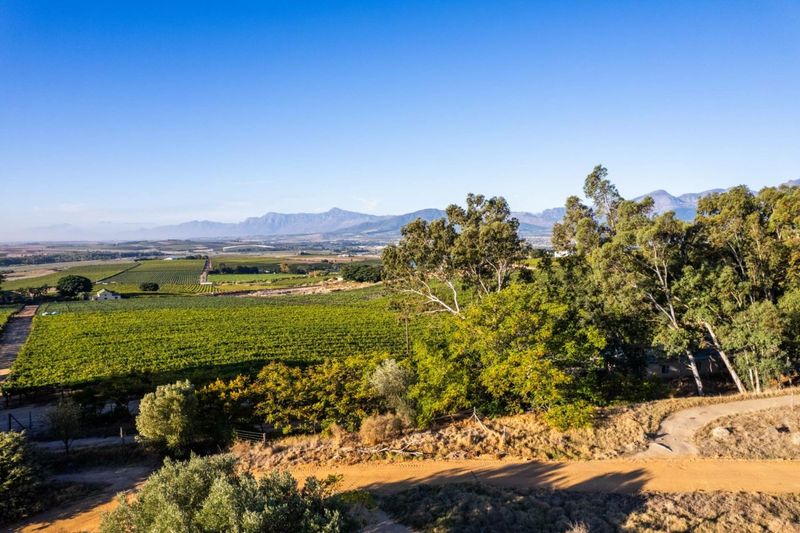 Exclusive residential development on an iconic wine farm.