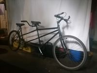 Carbon bikes gumtree deals
